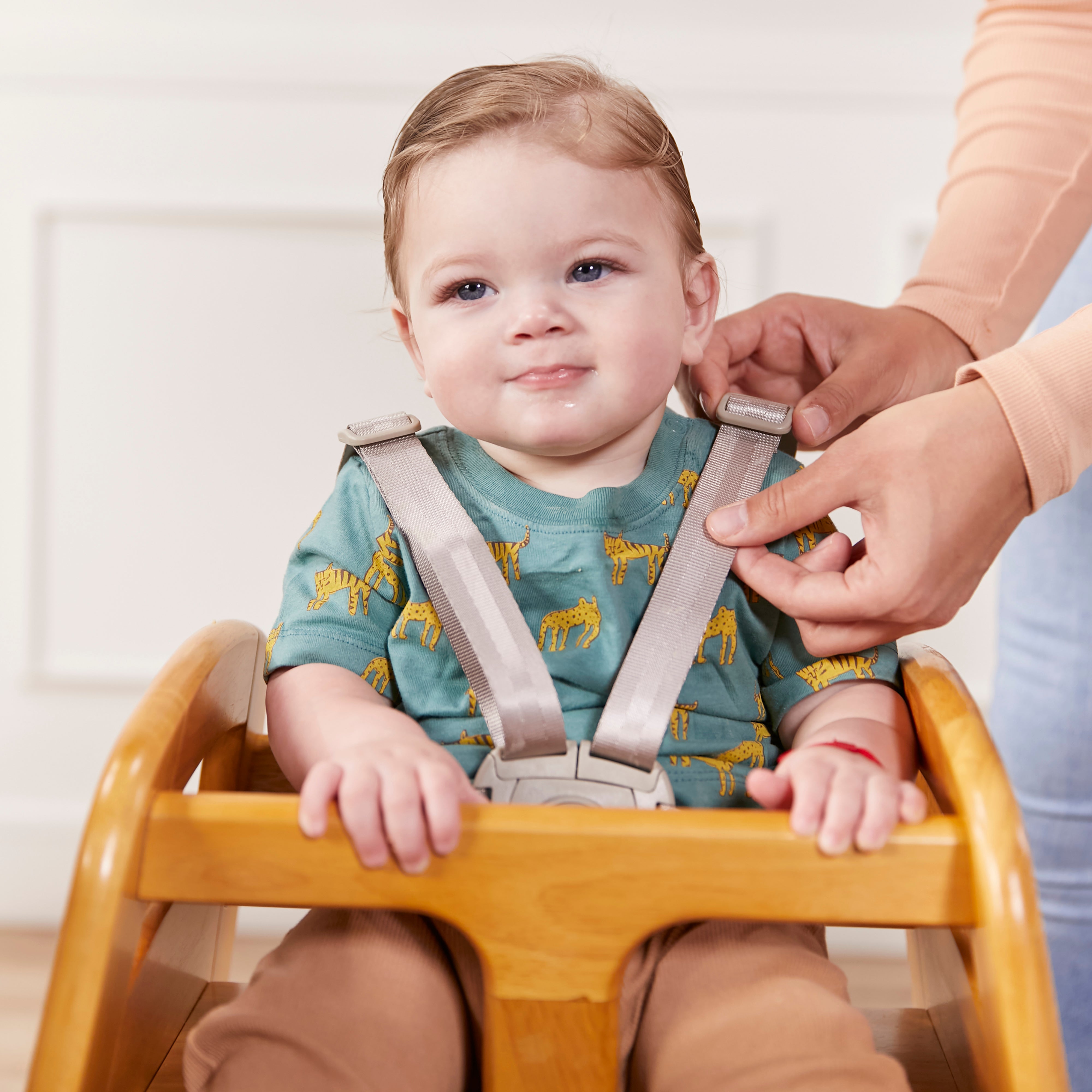 5-Point High Chair Harness, T-Lock, Replacement Part