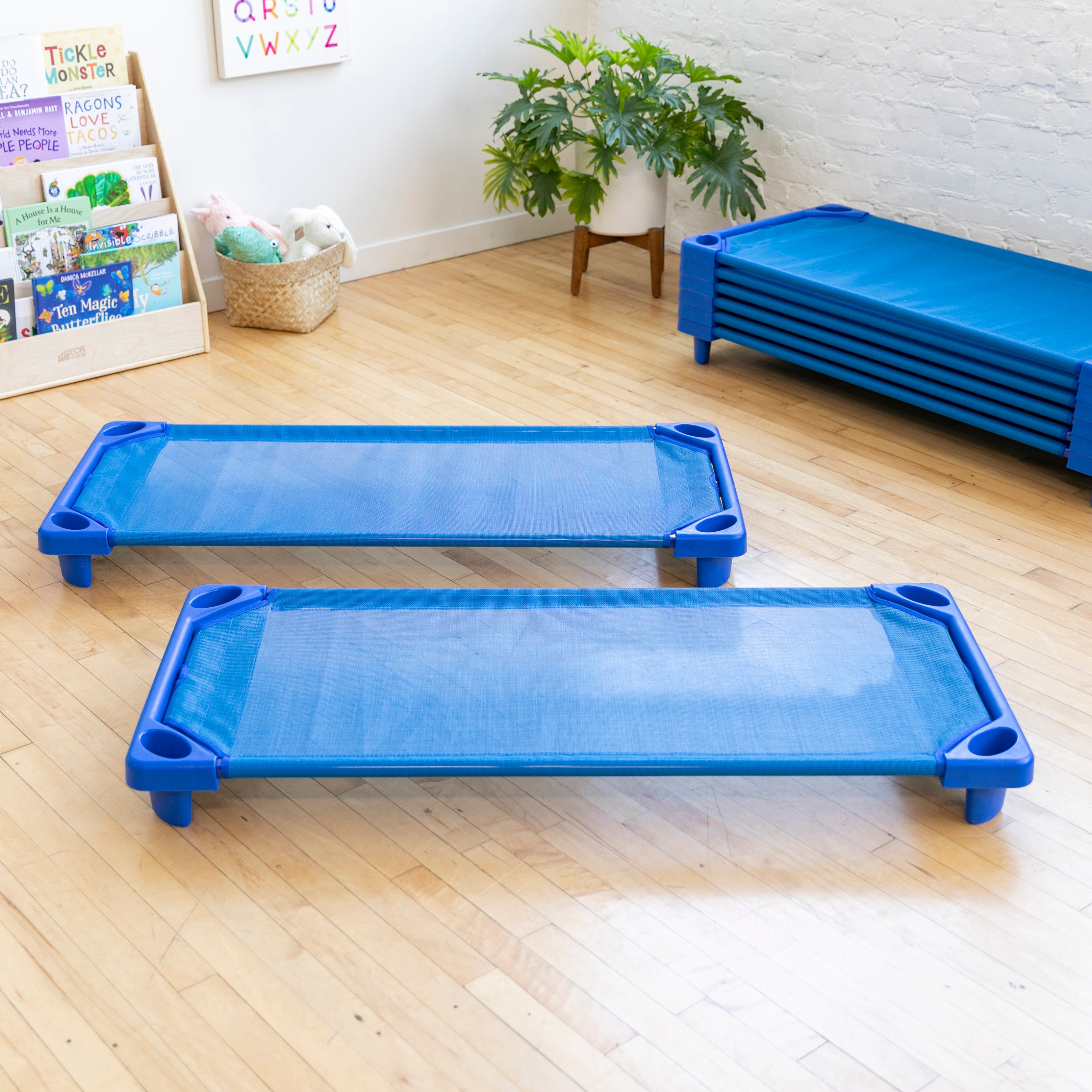 Streamline Cot, Standard Size, Assembled, 6-Pack - Blue